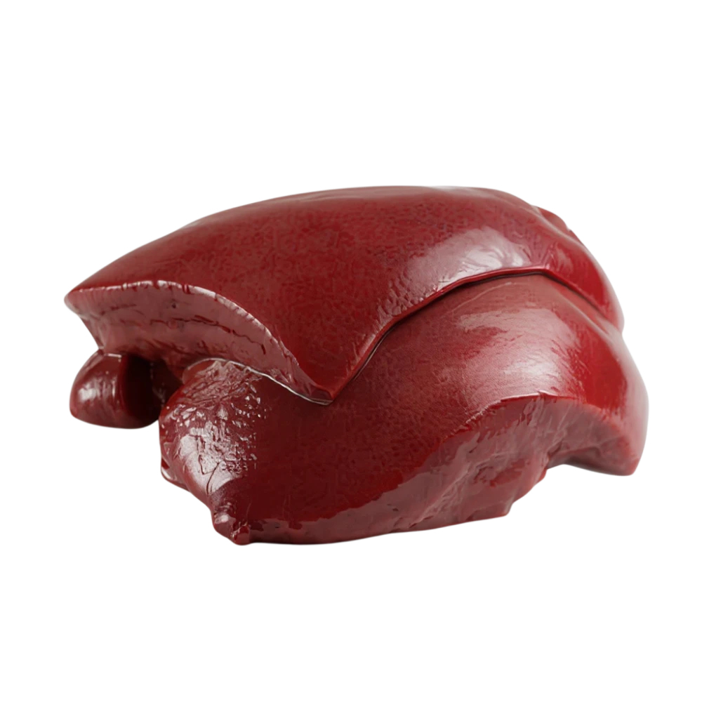 BEEF LIVER (KOLIJA) 1KG